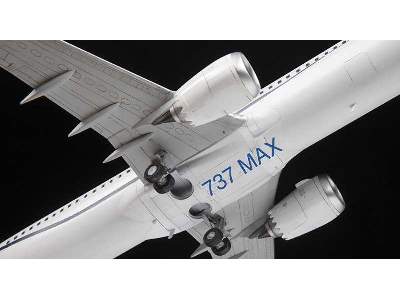 Passenger airliner Boeing 737-8 MAX - image 6
