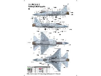 Chinese FC-1 Fierce Dragon (Pakistani JF-17 Thunder) - image 2