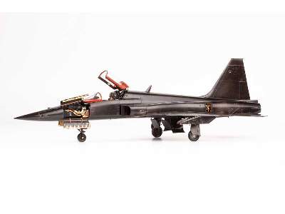 F-5E 1/32 - Kitty Hawk - image 12