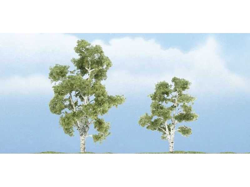 2 1/4 - 3 Premium Sycamore (2 / Pk) - image 1