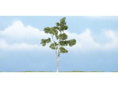 4 1/8 Premium Paper Birch (1 / Pk) - image 1