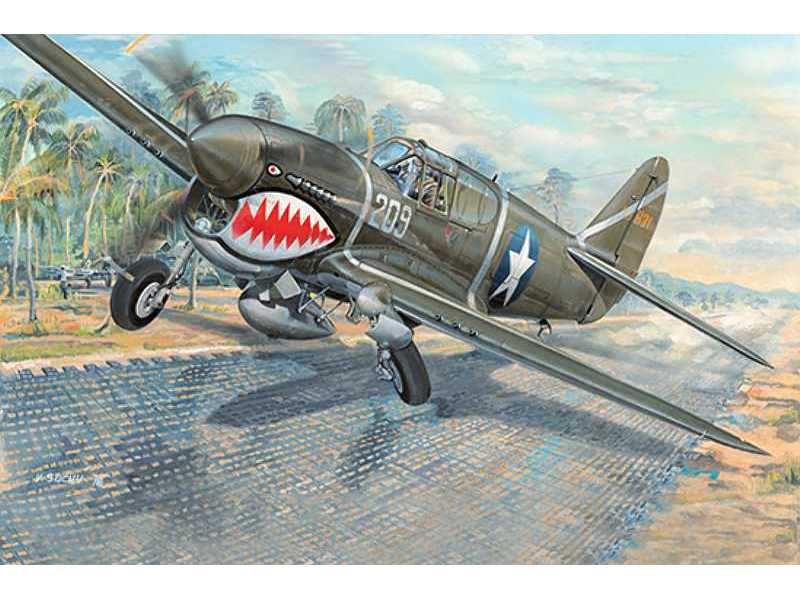 P-40f War Hawk - image 1