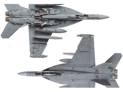 EA-18G Growler VAQ-141 Shadowhawks - image 8