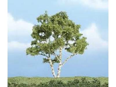 Premium Trees 4in. Brich Tree 1/ - image 1