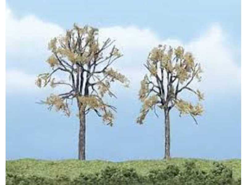 Premium Trees 2.25-3.25in.Dead E - image 1