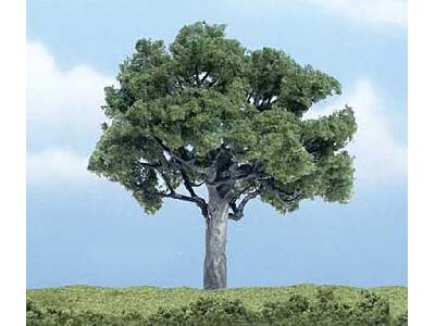 4in. Walnut Tree 1/Pkg - image 1