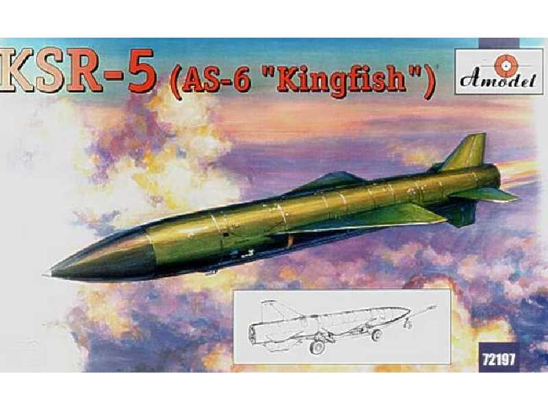 Raduga KSR-5 / AS-6 Kingfish - image 1