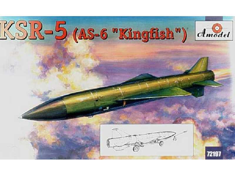 Raduga KSR-5 / AS-6 Kingfish - image 1 Raduga KSR-5 / AS-6 Kingfish - image 1