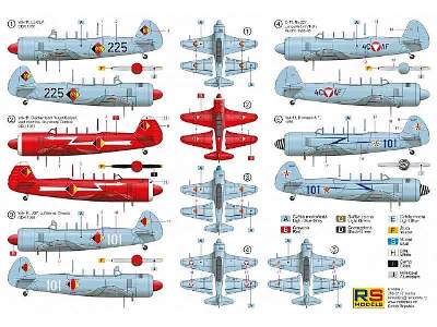 Yak-11 / C-11 Moose - image 2