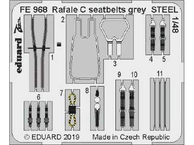 Rafale C seatbelts grey STEEL 1/48 - image 1