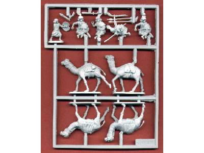 Hadendowa Camelry - image 3