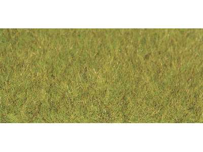 Grass fiber XL spring 10 mm - image 1