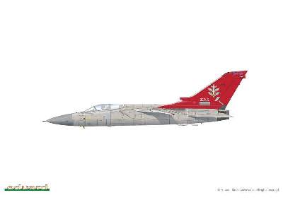 Tornado F.3 ADV 1/48 - image 3