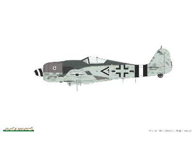 Fw 190A-8 1/48 - image 4