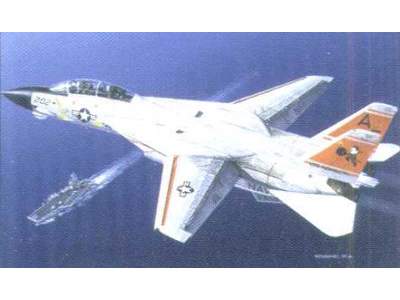 F-14 Tomcat - image 1