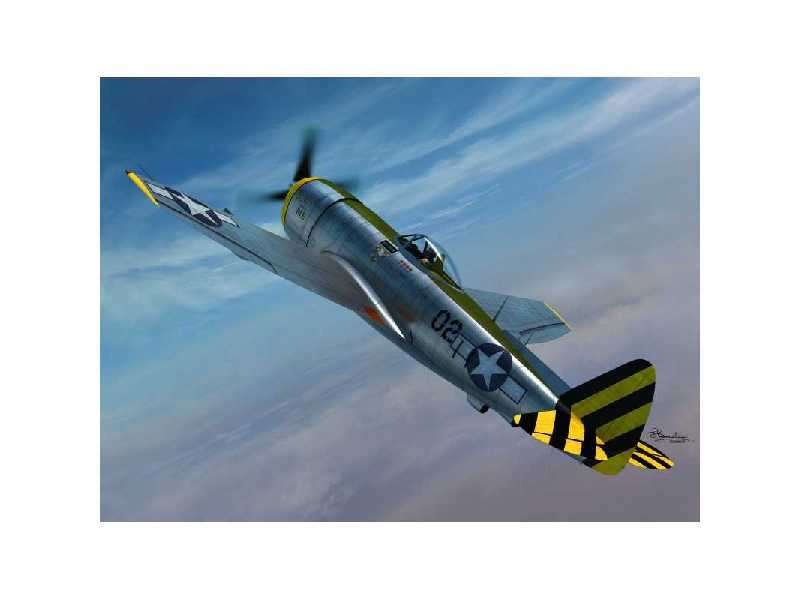 P-47N 2 in 1 - image 1