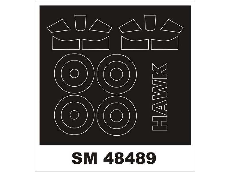 Curtiss Hawk Iii Freedom - image 1