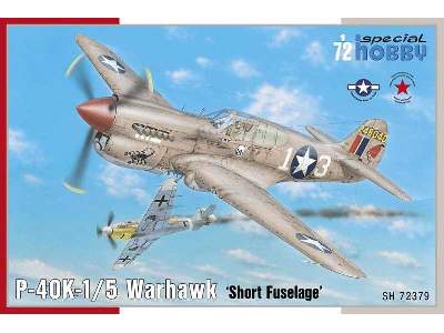 P-40K-1/5 Warhawk Short Tail - image 1