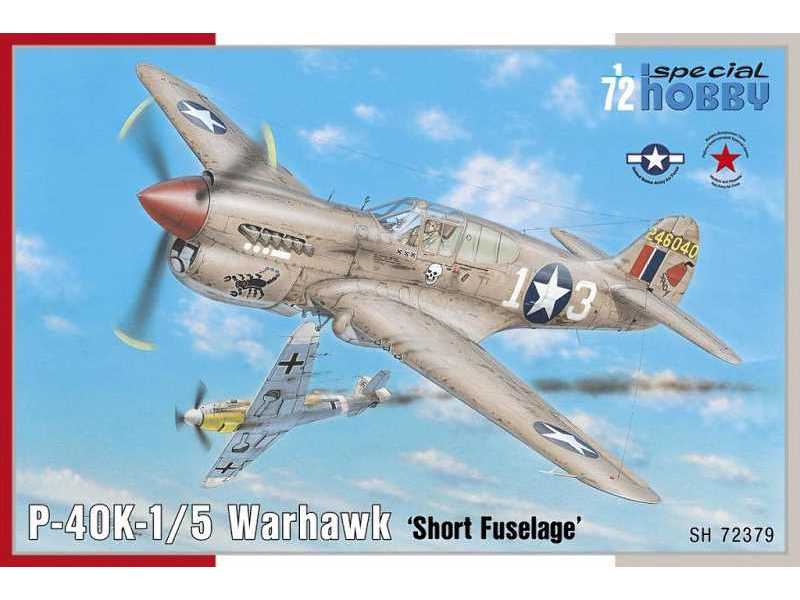 P-40K-1/5 Warhawk Short Tail - image 1