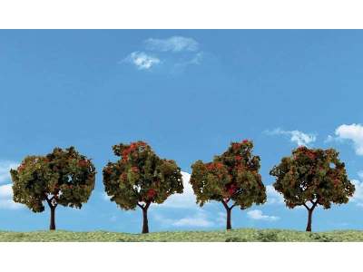 2 - 3 Classic Apple Trees (4 / Pk) - image 1
