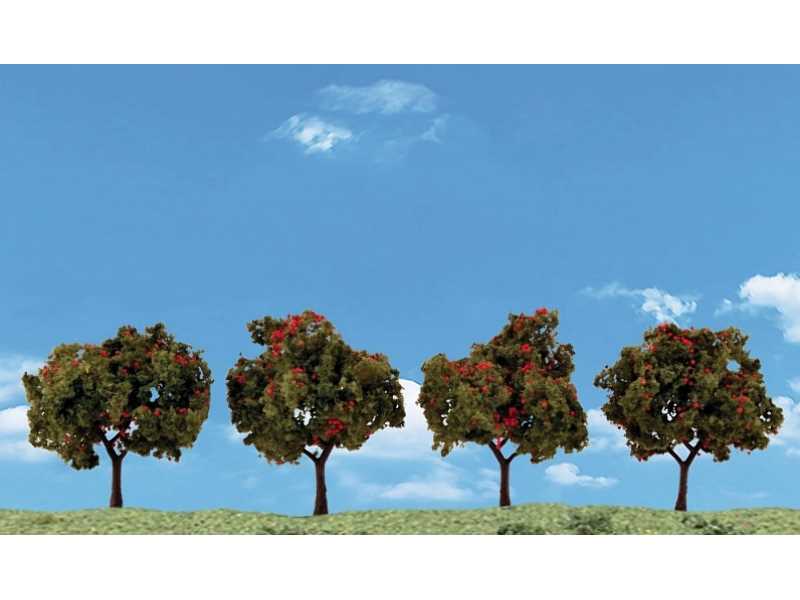 2 - 3 Classic Apple Trees (4 / Pk) - image 1