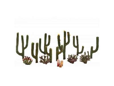1/2 - 2 1/2 Classic Cactus Plants 1 (3 / Pk) - image 1