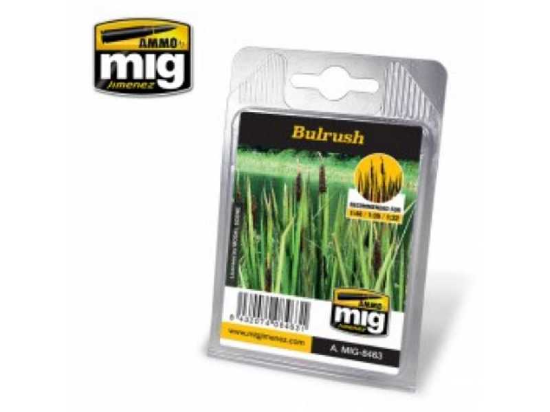 Bulrush - image 1