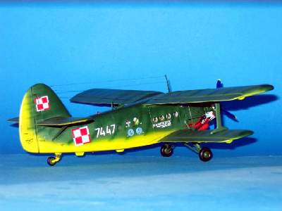 Antonov An-2 Colt Polish (military) - image 3