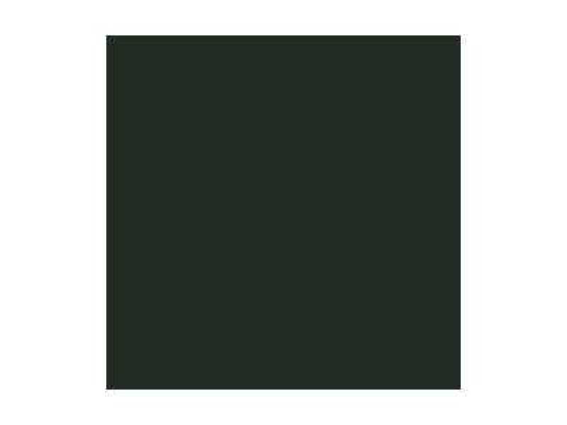  Extra Opaque - Heavy Black Green - paint - image 1