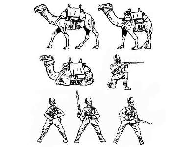 Egyptian camel troops - image 2