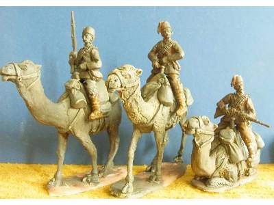Egyptian camel troops - image 5