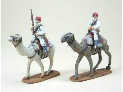 Egyptian camel troops - image 6