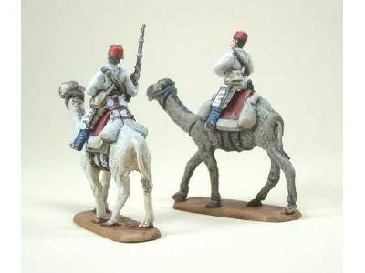 Egyptian camel troops - image 7
