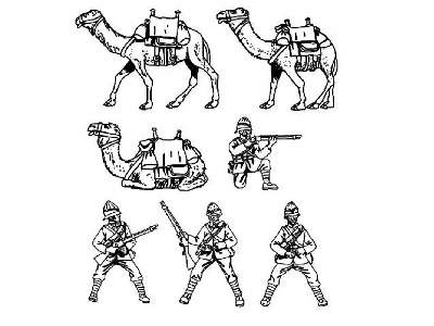 British Camel Corps - image 2