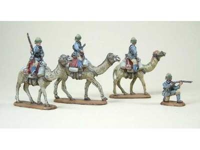 British Camel Corps - image 7