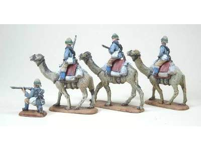 British Camel Corps - image 8