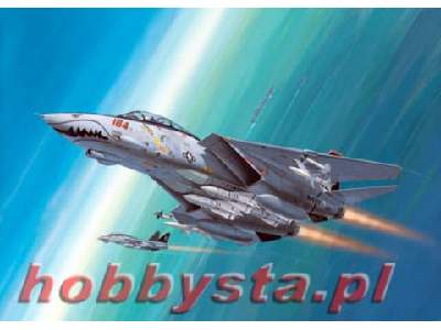 F-14D Super Tomcat - Gift Set - image 1