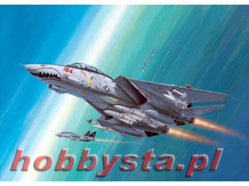 F-14D Super Tomcat - Gift Set - image 1