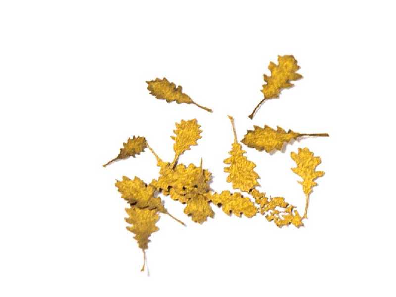 Oak Autumn - Dry Leaves - image 1