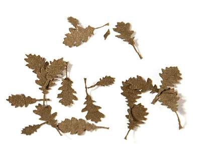 Oak Dry Leaves - Dry Leaves - image 1