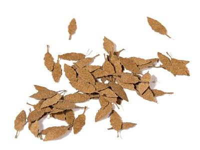 Universal Dry Leaves - Dry Leaves - image 1