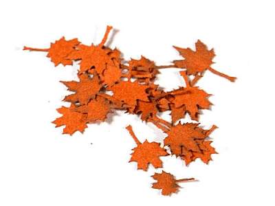 Maple Red - Dry Leaves - image 1