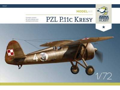 PZL P.11c  Kresy - image 1