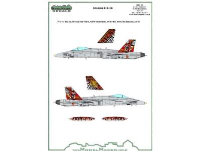 Spain F/A-18 30 Years Of Ala 15 - NATO Tiger Meet 2016 - image 3