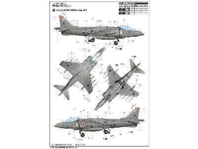 RAF Harrier GR. Mk7 - image 2