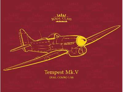 Tempest Mk. V 1/48 - image 1