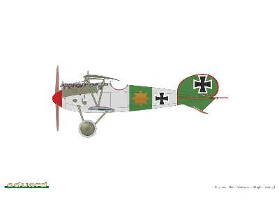 Albatros D. V 1/48 - image 2