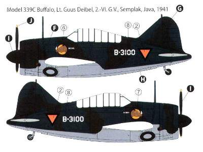 Brewster 339 B/C Buffalo - image 8