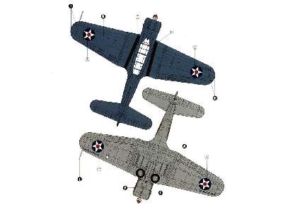 Douglas SBD 2/3 Dauntless - image 5