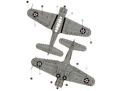 Douglas SBD 2/3 Dauntless - image 7